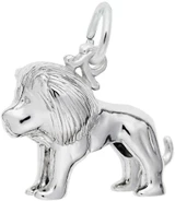 Image of Small Lion Charm (Choose Metal) by Rembrandt