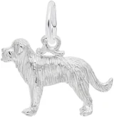 Image of St. Bernard Dog Charm (Choose Metal) by Rembrandt