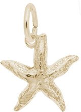Image of Starfish Charm (Choose Metal) by Rembrandt
