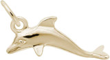Image of Swimming Dolphin Charm (Choose Metal) by Rembrandt