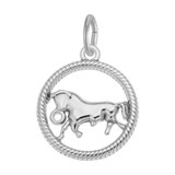 Image of Taurus Bull Charm (Choose Metal) by Rembrandt