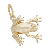 Image of Tree Frog Charm (Choose Metal) by Rembrandt