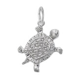 Image of Turtle Charm (Choose Metal) by Rembrandt