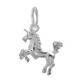 Image of Unicorn Charm (Choose Metal) by Rembrandt