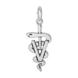 Image of Veterinarian Charm (Choose Metal) by Rembrandt