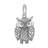 Image of Wise Owl Charm (Choose Metal) by Rembrandt