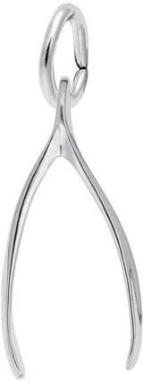 Image of Wishbone Charm (Choose Metal) by Rembrandt