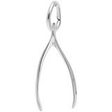 Image of Wishbone Charm (Choose Metal) by Rembrandt