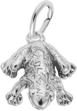 Image of Wood Frog Charm (Choose Metal) by Rembrandt