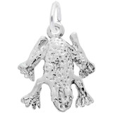 Image of Frog Style 510 Charm (Choose Metal) by Rembrandt