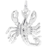 Image of Scorpio Zodiac Charm (Choose Metal) by Rembrandt
