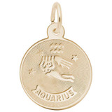 Image of Aquarius Constellation Disc Charm (Choose Metal) by Rembrandt