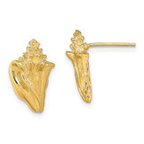 Image of 15.45mm 14K Yellow Gold 2-D Conch Shell Post Earrings TE815
