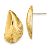 Image of 24.4mm 14K Yellow Gold Polished Mussel Shell Post Earrings