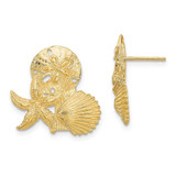 Image of 18.45mm 14K Yellow Gold Sand Dollar, Starfish, ,Scallop Cluster Post Earrings