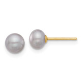 Image of 5.6mm 14K Yellow Gold 5-6mm Grey Button Freshwater Cultured Pearl Stud Post Earrings