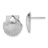 Image of 14mm Sterling Silver Polished Scallop Shell Post Earrings QE15501