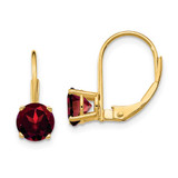 Image of 18mm 14K Yellow Gold 6mm Garnet Leverback Earrings XLB112GA