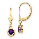 Image of 24mm 14K Yellow Gold 5mm Amethyst Leverback Earrings XLB100AM