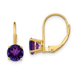 Image of 18mm 14K Yellow Gold 6mm Amethyst Leverback Earrings XLB112AM