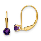Image of 13mm 14K Yellow Gold Amethyst Earrings - February