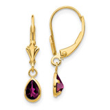 Image of 23mm 14K Yellow Gold 6x4mm Rhodolite Garnet/June Earrings