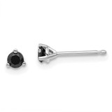 Image of 4mm 14k White Gold .25ct Black Diamond Stud Earrings
