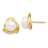 Image of 10.3mm 14K Yellow Gold 7-8mm White Button Freshwater Cultured Pearl Post Earrings
