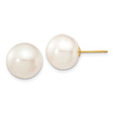 Image of 10k Yellow Gold 11-12mm White Button Freshwater Cultured Pearl Stud Post Earrings
