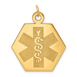 Image of 14K Yellow Gold Medical Jewelry Unenameled Pendant XM31N