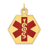 Image of 14K Yellow Gold Red Enamel Medical Jewelry Pendant XM30