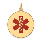Image of 14K Yellow Gold Red Enamel Medical Jewelry Pendant XM409