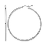 Rhodium-Plated 14K White Gold Hollow Polished Hoop Earrings, 50 mm