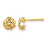 14K Yellow Gold Polished Stud Earrings, 7 mm