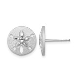 Sterling Silver Rhodium-Plated Textured Sand Dollar Stud Earrings, 12.2 mm