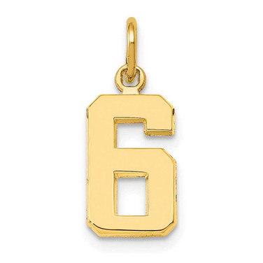 Image of 10K Yellow Gold Casted Small Polished Number 6 Charm