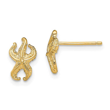 Image of 10k Yellow Gold Starfish Post Earrings 10TE780