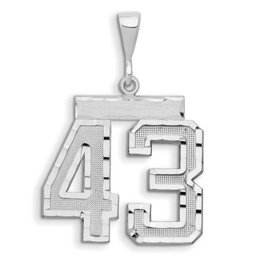 Image of 14K White Gold Large Shiny-Cut Number 43 Pendant