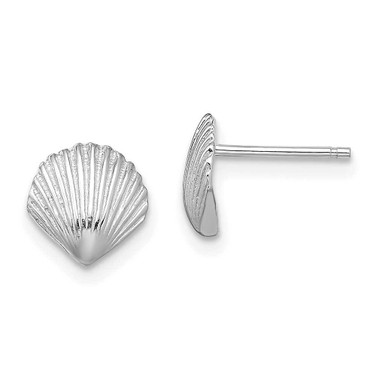 Image of 7.8mm 14K White Gold Scallop Shell Post Earrings TE782W
