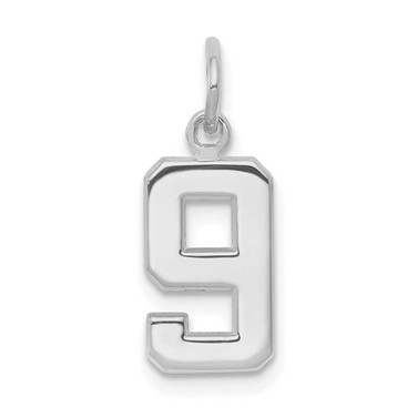 Image of 14K White Gold Small Polished Number 9 Charm