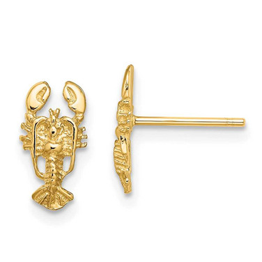 Image of 10.7mm 14K Yellow Gold 2-D Lobster Stud Earrings
