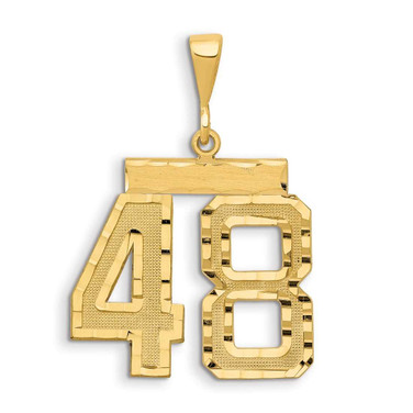 Image of 14K Yellow Gold Large Shiny-Cut Number 48 Pendant