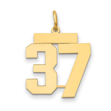 Image of 14K Yellow Gold Medium Polished Number 37 Charm LM37