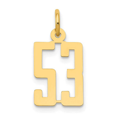 Image of 14K Yellow Gold Small Polished Elongated Number 53 Charm