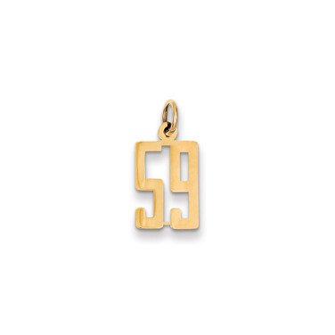 Image of 14K Yellow Gold Small Polished Elongated Number 59 Charm