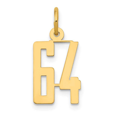 Image of 14K Yellow Gold Small Polished Elongated Number 64 Charm
