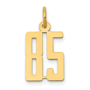 Image of 14K Yellow Gold Small Polished Elongated Number 85 Charm