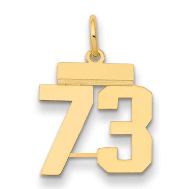 Image of 14K Yellow Gold Small Polished Number 73 Charm LS73