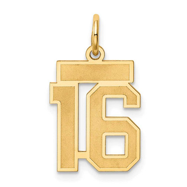 Image of 14K Yellow Gold Small Satin Number 16 Charm