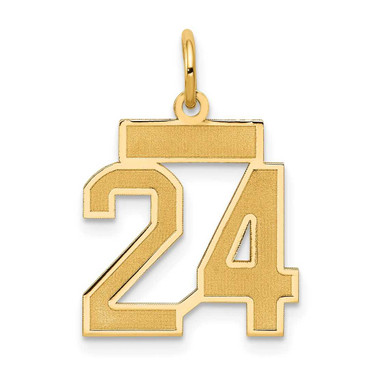 Image of 14K Yellow Gold Small Satin Number 24 Charm